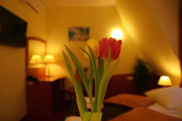 Фото номера Стандартный двухместный номер с 2 отдельными кроватями Отель Hotel Karolinka г. Gogolin 23